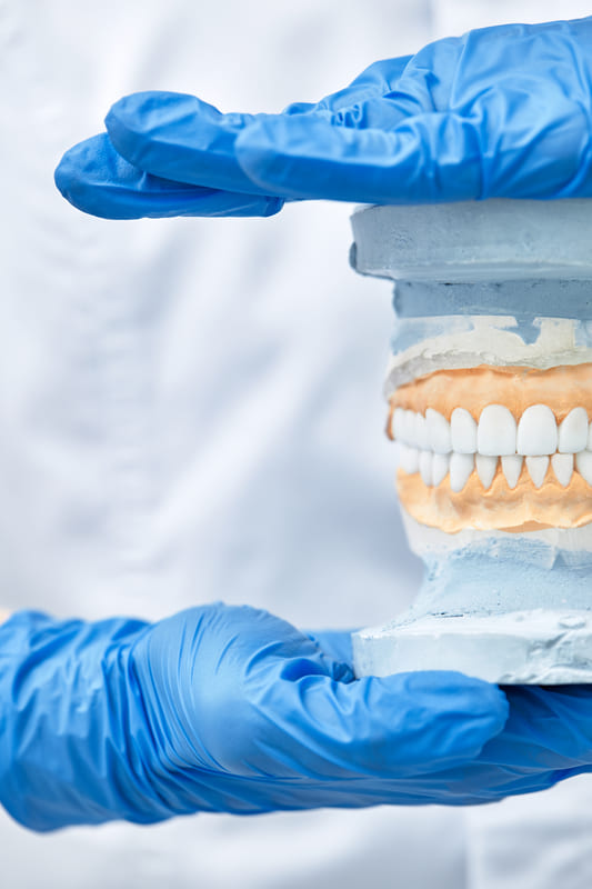 Ogni segnale che il corpo dà va letto. Dolori alla mandibola, denti limati, indolenzimento posso essere segnali che ci portano da uno gnatologo: nell'immagine dottore con modellino di mandibola che mostra una chiusura corretta.